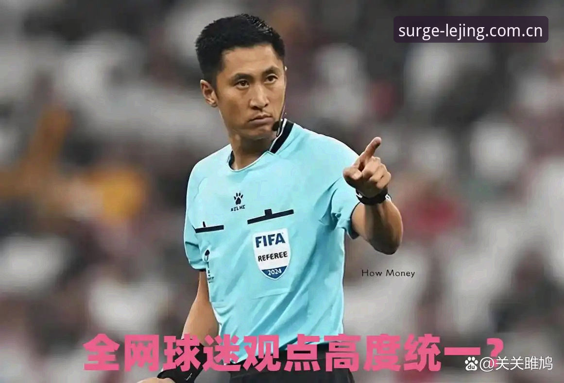 乐竞体育APP登录入口 马宁不看球迷评论,凭什么走到世界杯舞台?